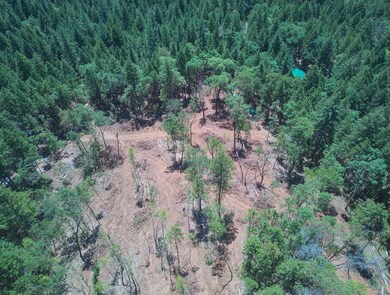 20240718_124105_0005