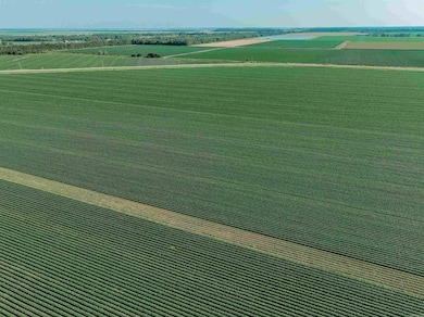 0000 Highway 8, Eudora, AR 71640 - photo 6