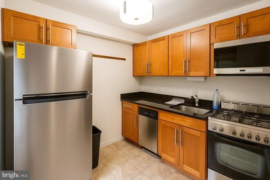 111 Lee Ave unit 301, Takoma Park, MD 20912 - photo 5