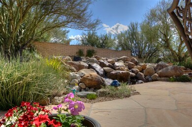 Water Feature