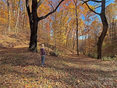 890 Panther Branch Rd, Hot Springs, NC 28743 - photo 7