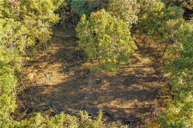 0 County Rd unit 1175082, Elkins, AR 72727 - photo 3