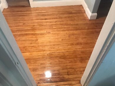 54 Lithgow St, Dorchester Center, MA 02124 - photo 7