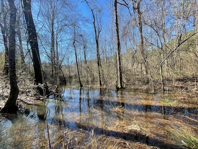 1048 Greens Creek Rd, Carson, MS 39427 - photo 7