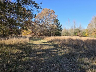 1280 Walnut Grove Rd, Newark, AR 72562 - photo 5