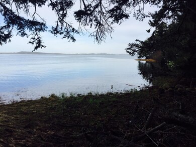 View north from shore