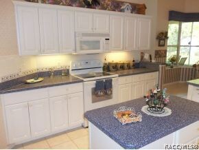 9900 SW 206th Cir, Dunnellon, FL 34431 - photo 6