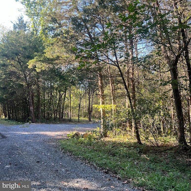 D47 Greenway Ln, Luray, VA 22835 - photo 2