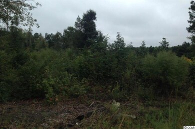 TBD Bridgebrook Ln, Conway, SC 29527 - photo 2