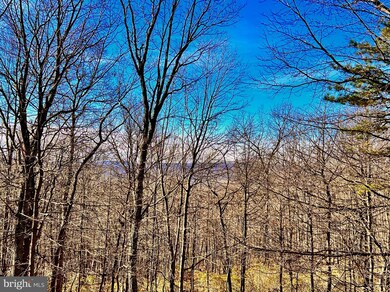 81 Ridge Runner Rd, Wardensville, WV 26851 - photo 5