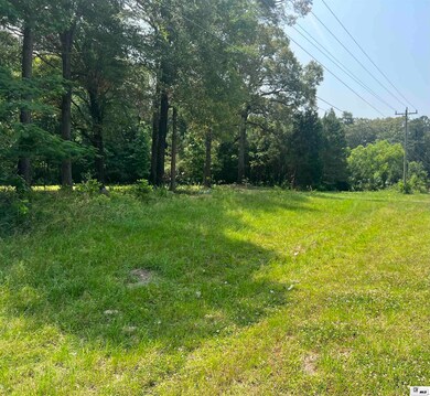 12670 Crossett Rd, Bastrop, LA 71220 - photo 3