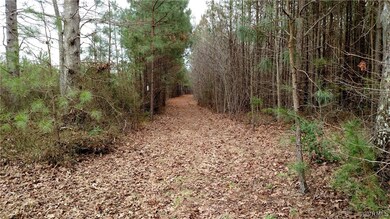 00000 Prince George Dr, Prince George, VA 23842 - photo 3