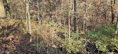 TBD Wooten Rd Rd, West Fork, AR 72774 - photo 2