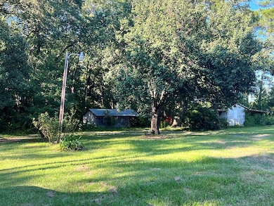 809 Ga Highway 56, Uvalda, GA 30473 - photo 3