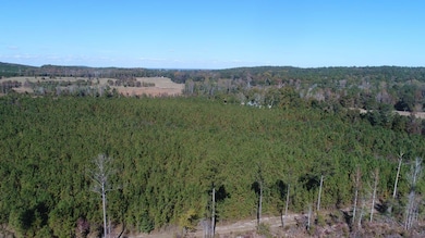 Henry Co Rd 46, Shorterville, AL 36373 - photo 3