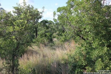 10113 Basilone Ridge, San Antonio, TX 78255 - photo 2