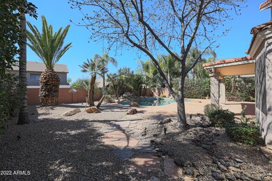 Backyard Oasis
