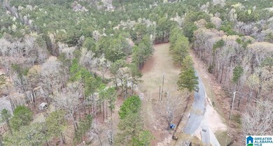 0 Frankies Rd unit 21413440, Vincent, AL 35128 - photo 6