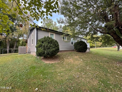 101 Spar Mill Rd, Erwin, TN 37650 - photo 2