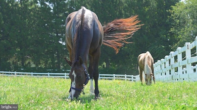 400 N Guernsey Rd, West Grove, PA 19390 - photo 6