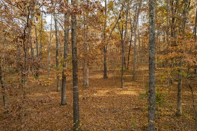 Lot 28 County Road 555 C, Bayou I Township, MO 65760 - photo 6