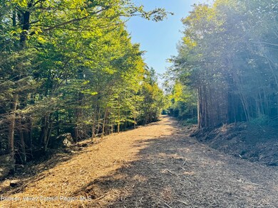 16 Corfu Rd, Hunter, NY 12427 - photo 6