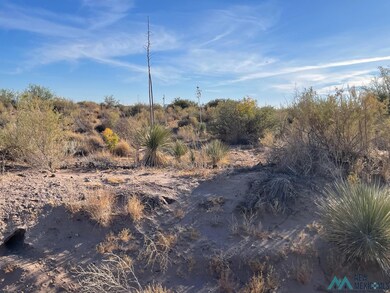 XXXX Pecos Rd SW, Deming, NM 88030 - photo 6