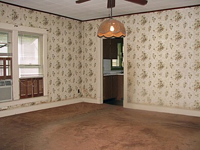 313 E Newkirk St, Tuscola, IL 61953 - photo 5