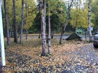 5613 Renee Cir, Anchorage, AK 99504 - photo 2