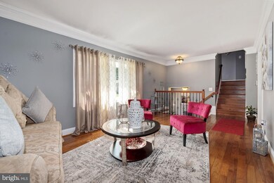 13506 Tamarack Rd, Silver Spring, MD 20904 - photo 5