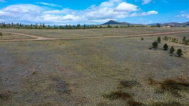 322 Hawk Way, Como, CO 80432 - photo 5