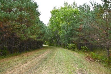 xxx Pequot Ct, Fawn Lake Township, MN 56438 - photo 6