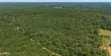 2 Oliver Rd, Haughton, LA 71037 - photo 6