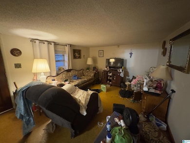 1020 Rosenwald Hieghts, Moulton, AL 35650 - photo 3