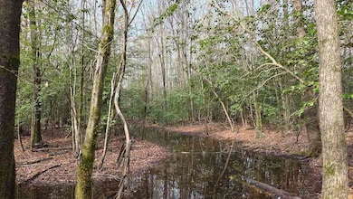 S14 unit T4S R12W, Sheridan, AR 72150 - photo 4