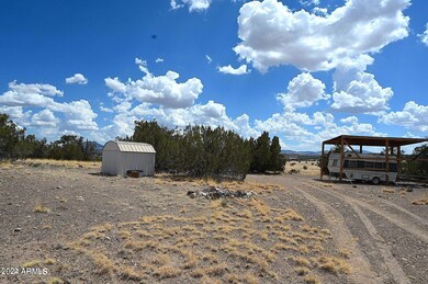 ponderosa 1