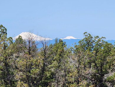 0 SE Walnut Ln unit 194 220203031, Prineville, OR 97754 - photo 3