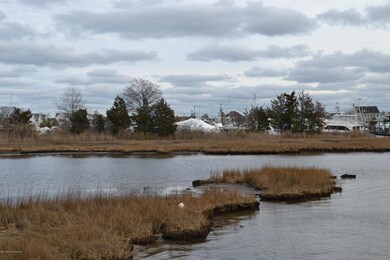 DSC_0115 - Copy