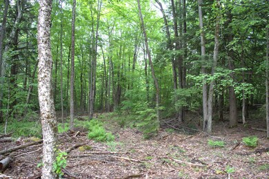 0 Britton Rd unit 5-364-4-L5 4955923, Claremont, NH 03743 - photo 4