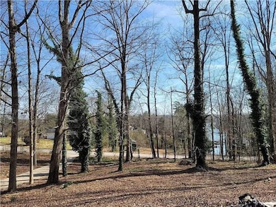 View of local wilderness