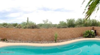 Back Yard pool _ view of back wall