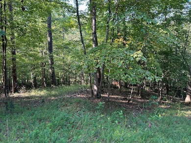 2 Cedar Bluff Ln, Hardy, VA 24101 - photo 3