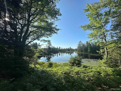 Off Indian Lake Rd, Michigamme, MI 49861 - photo 2