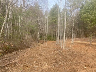 0 Flea Mountain Rd unit 417912, Murphy, NC 28906 - photo 5