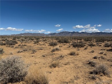 2.5 AC Bonita Dr, Dolan Springs, AZ 86441 - photo 6