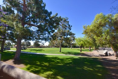 Golf Course Views