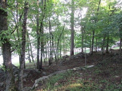 158 Dudala Way, Loudon, TN 37774 - photo 7