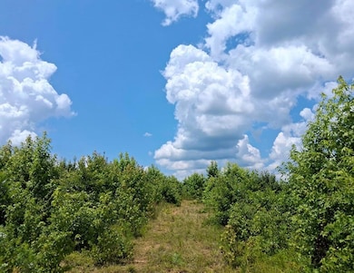 30a Bowie Rd, Troy, SC 29848 - photo 4