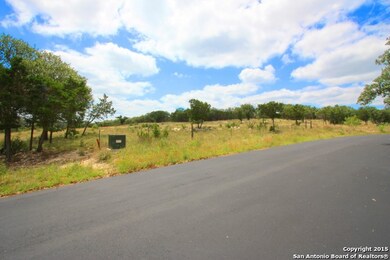 24711 Clearwater Run, Leon Sprin, TX 78255 - photo 5