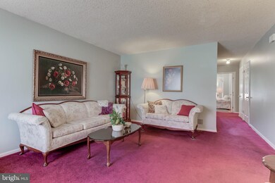 1920 Elder Ave, Morton, PA 19070 - photo 5